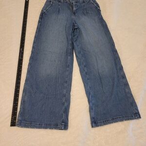 American Eagle Outfitters Blue Flare Jeans
